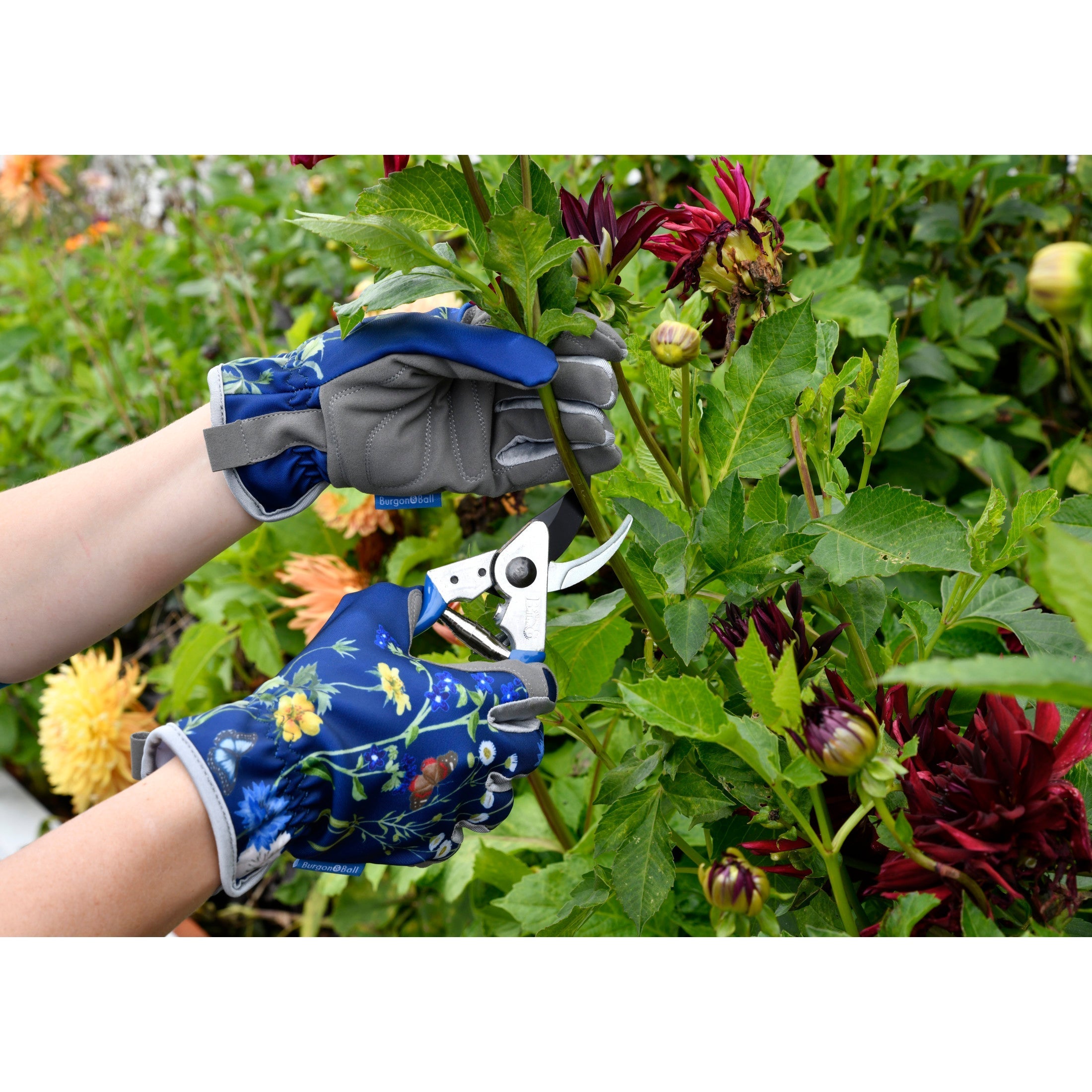 Burgon & Ball® British Meadow Pruner & Holster Set, RHS Endorsed