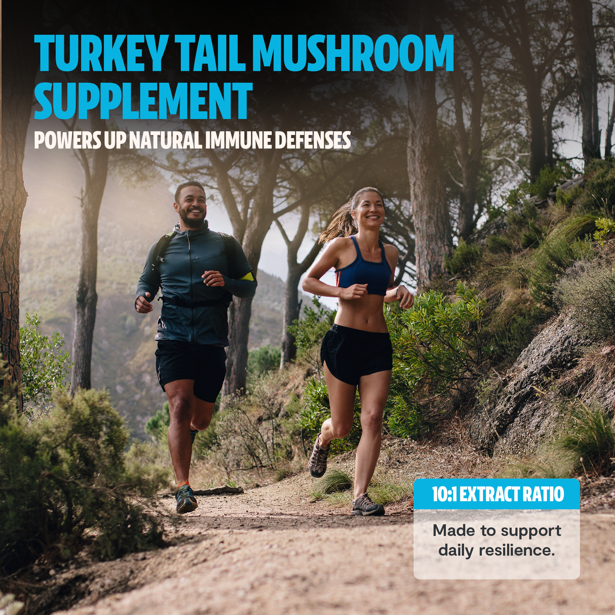 Organic Turkey Tail Mushroom Powder