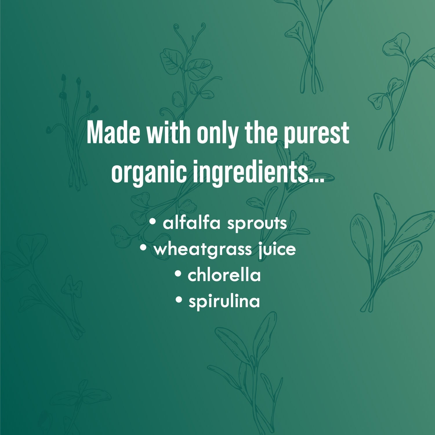 Green Fuel Sprout Powder