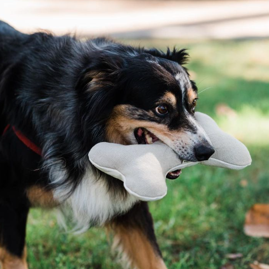 Boba & Vespa Plush Hemp Dog Bone Toy for Gentle Chewers | Soft & Squeaker Free