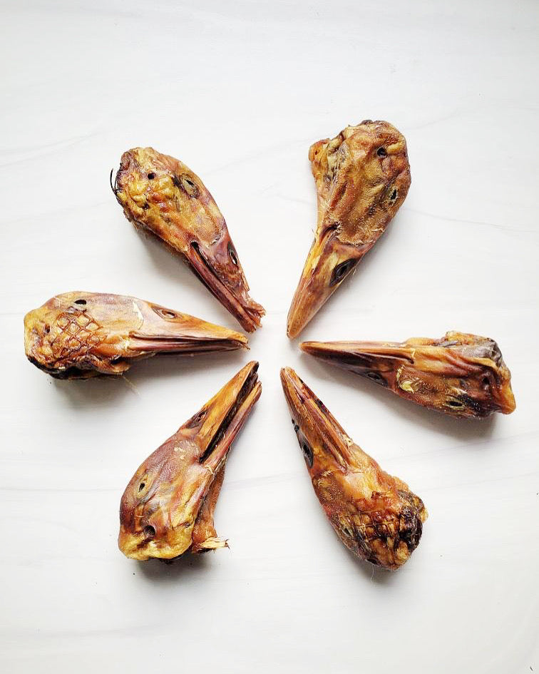 Duck Heads (ABF)