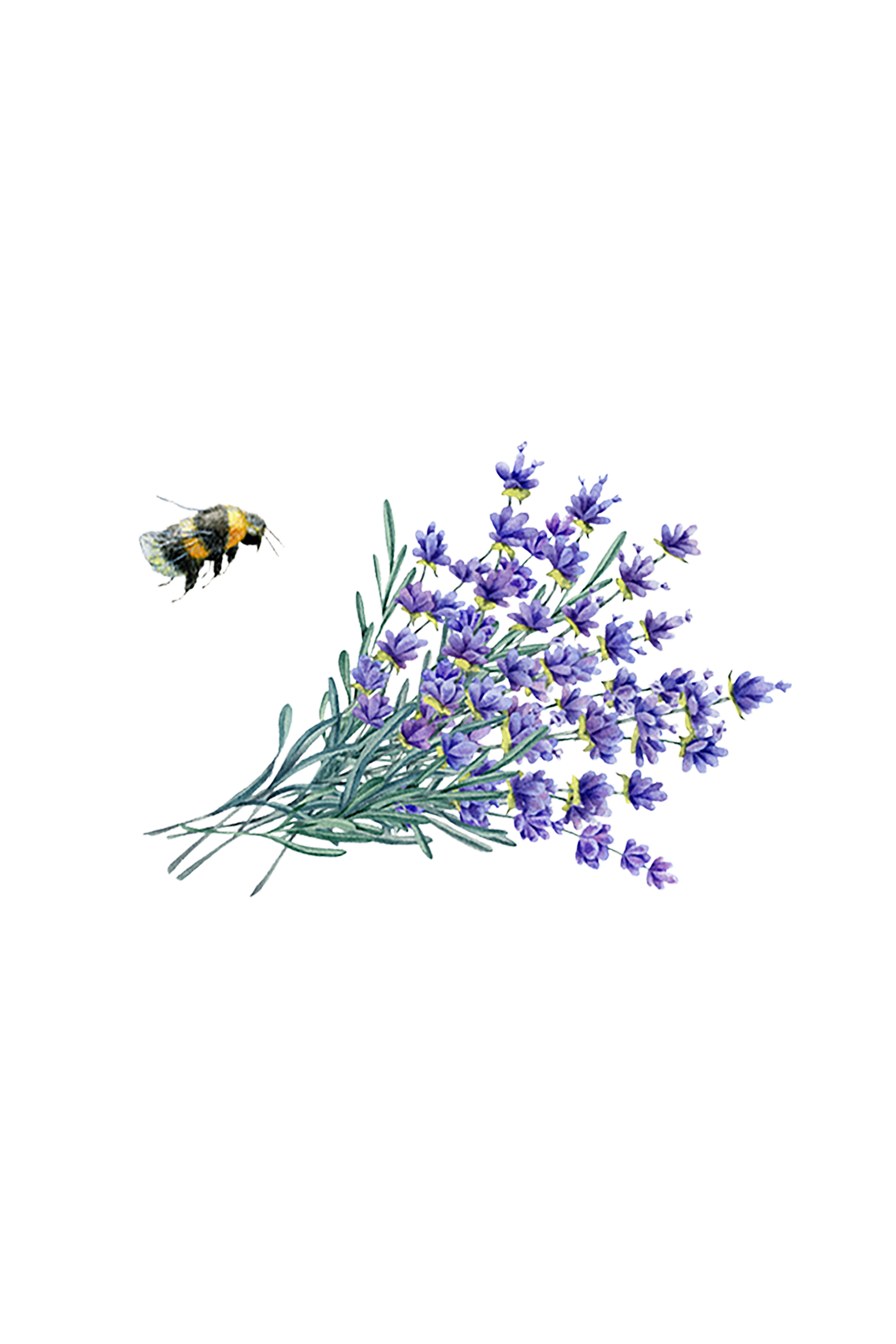 Linen Spray | Lavender