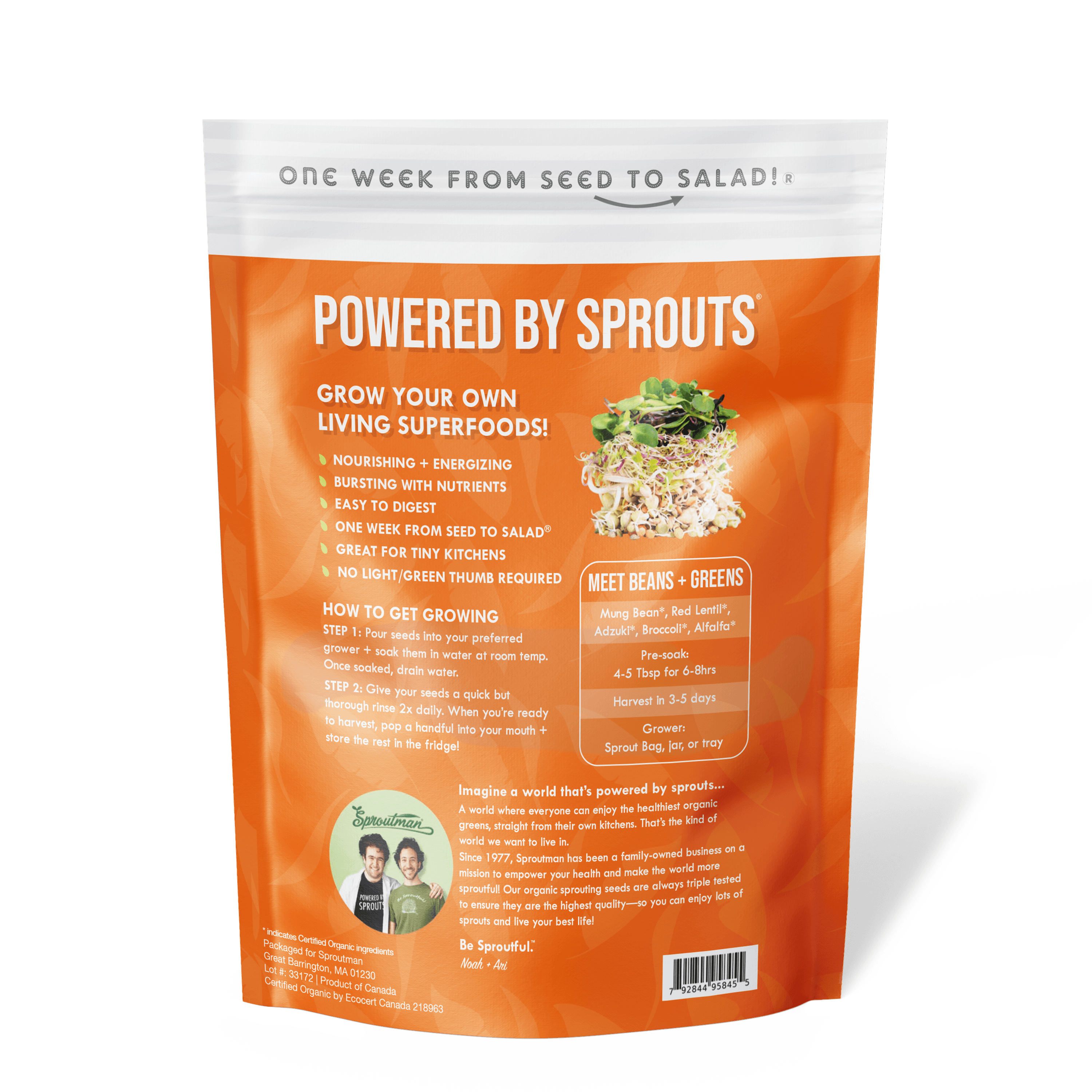Organic Beans + Greens Sprouting Seed