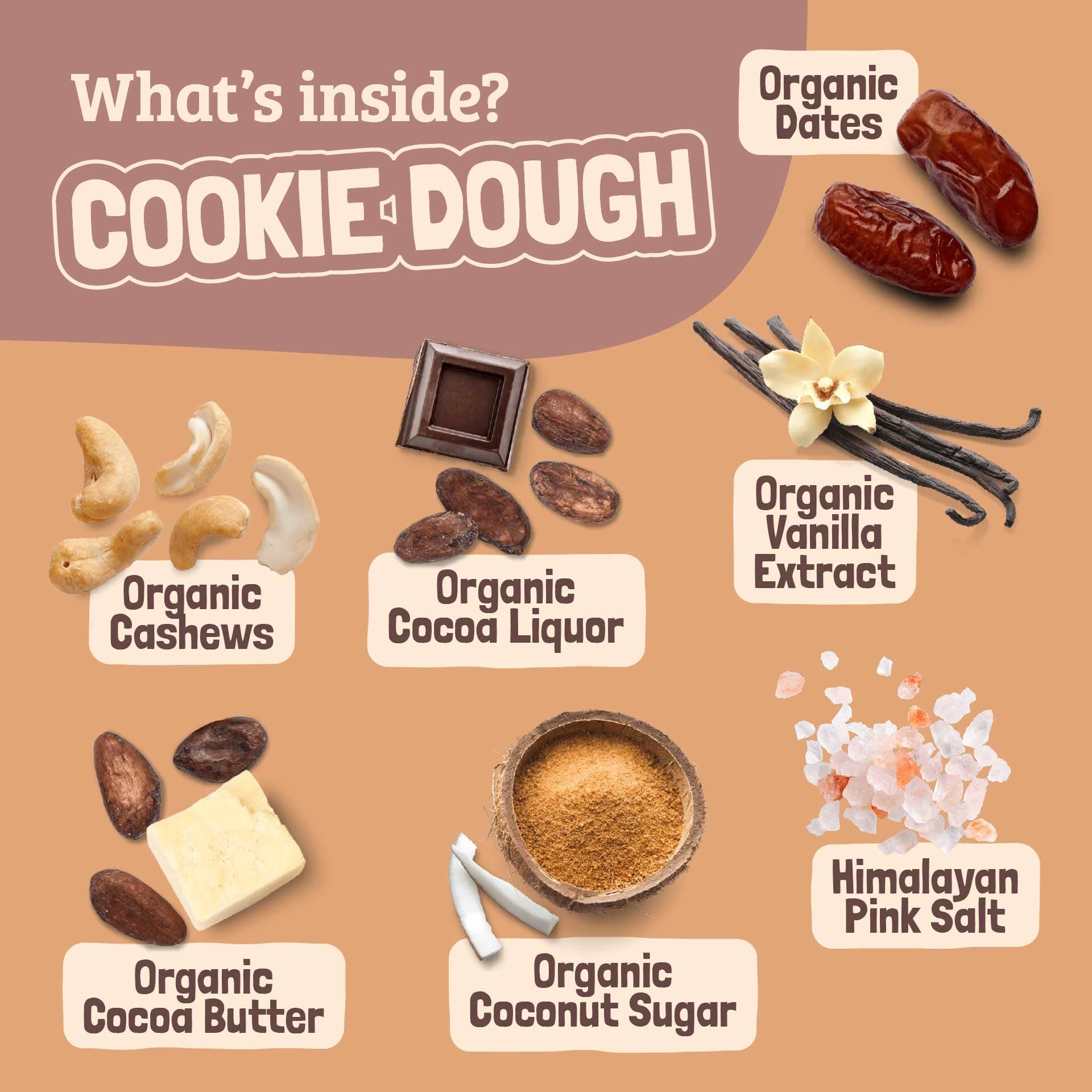 Skout Organic Cookie Dough Kids Bar