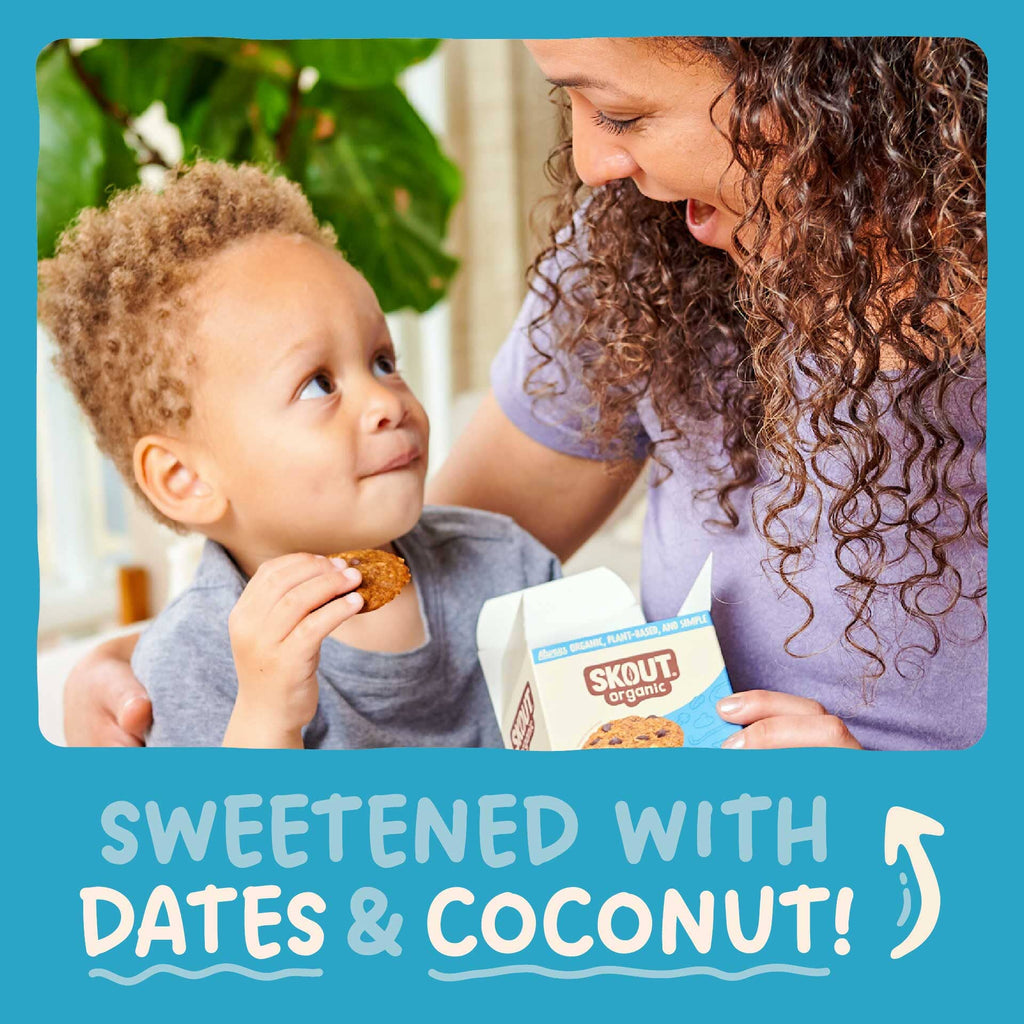Skout Organic Oatmeal Chocolate Chip Soft Baked Cookies