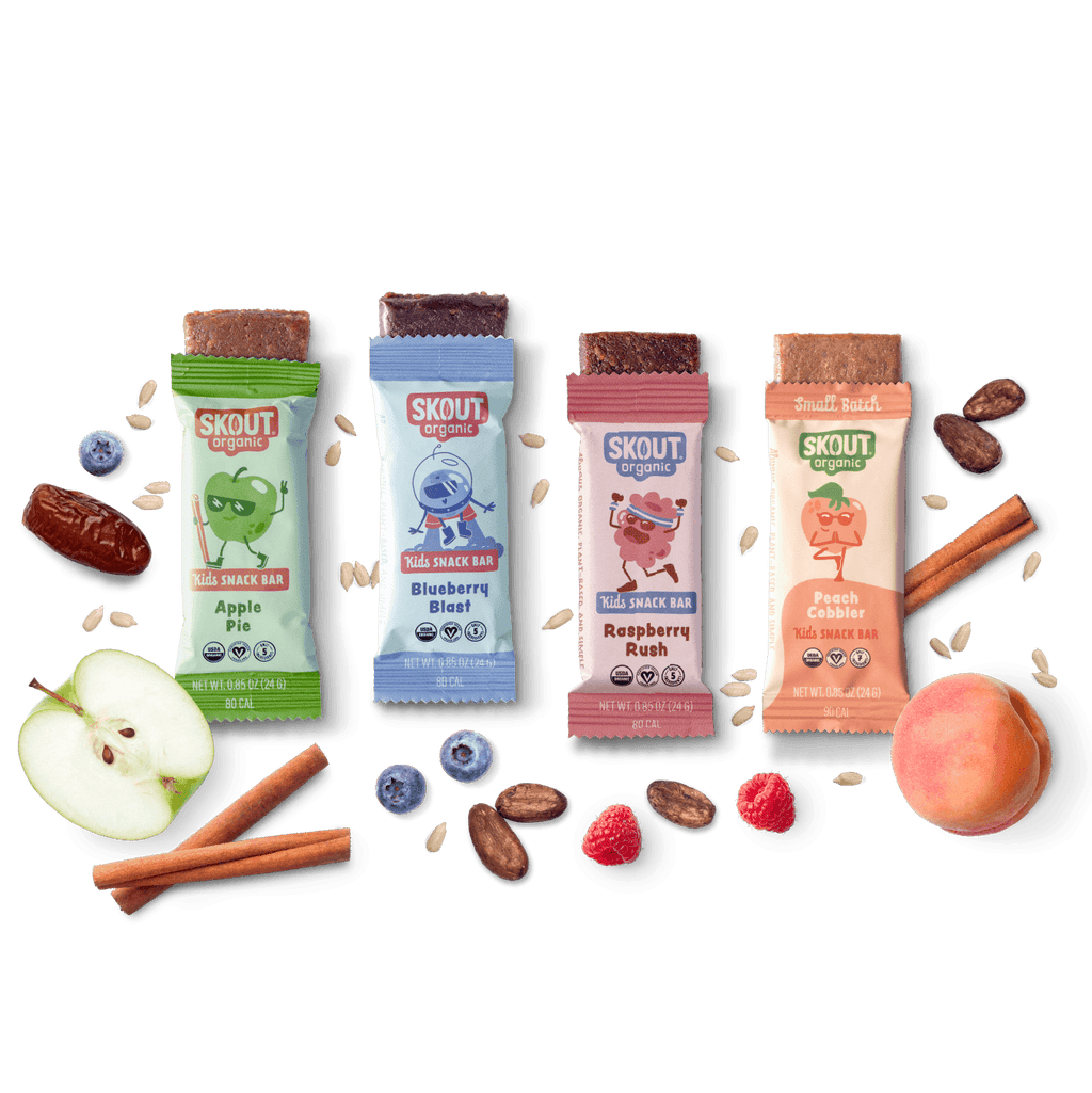 Skout Organic Small Batch Kids Fruit Bar Variety Pack