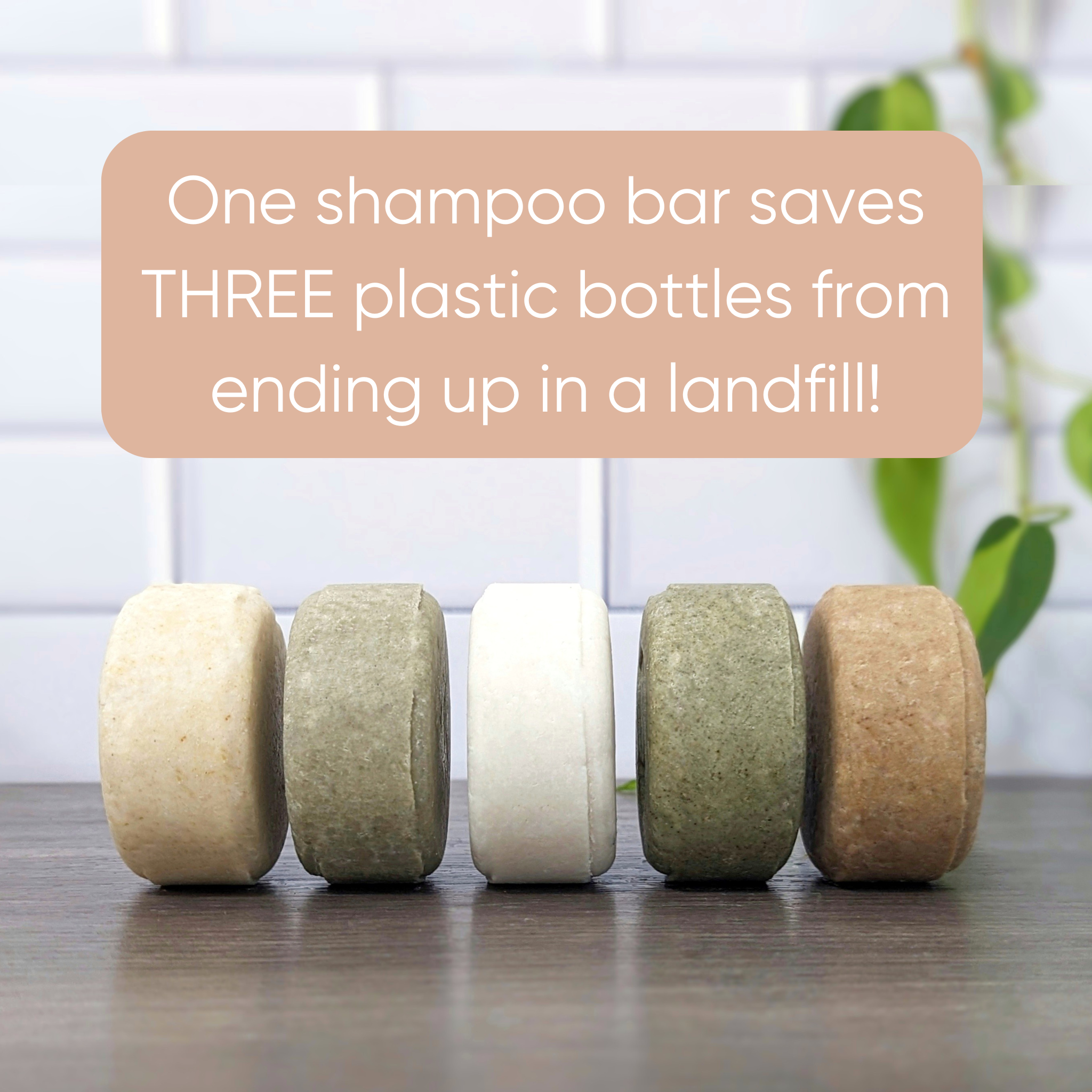 Plain & Simple Hydrating Solid Shampoo
