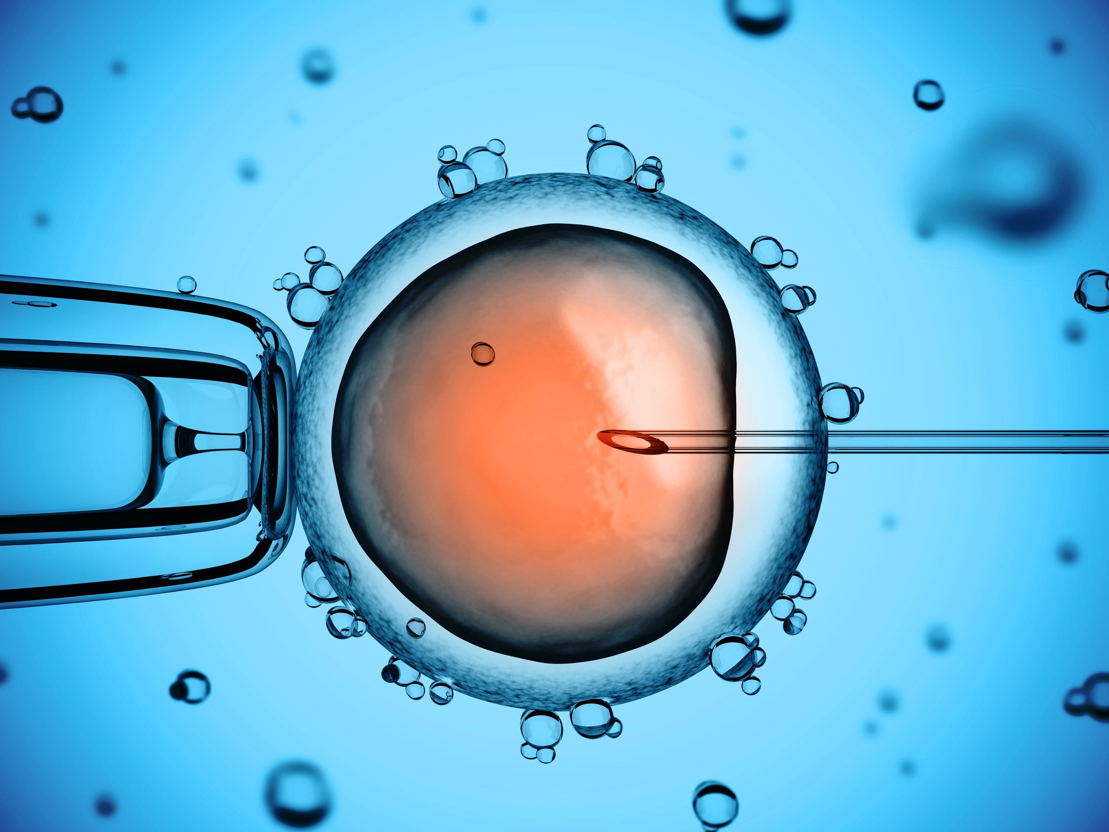 Stem Cell Tenser (Non Frozen)