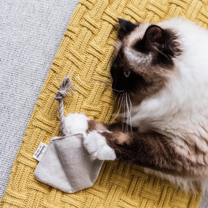 Boba & Vespa Stingray Cat Toy in Cotton with Buckwheat for Crinkles and Organic Catnip