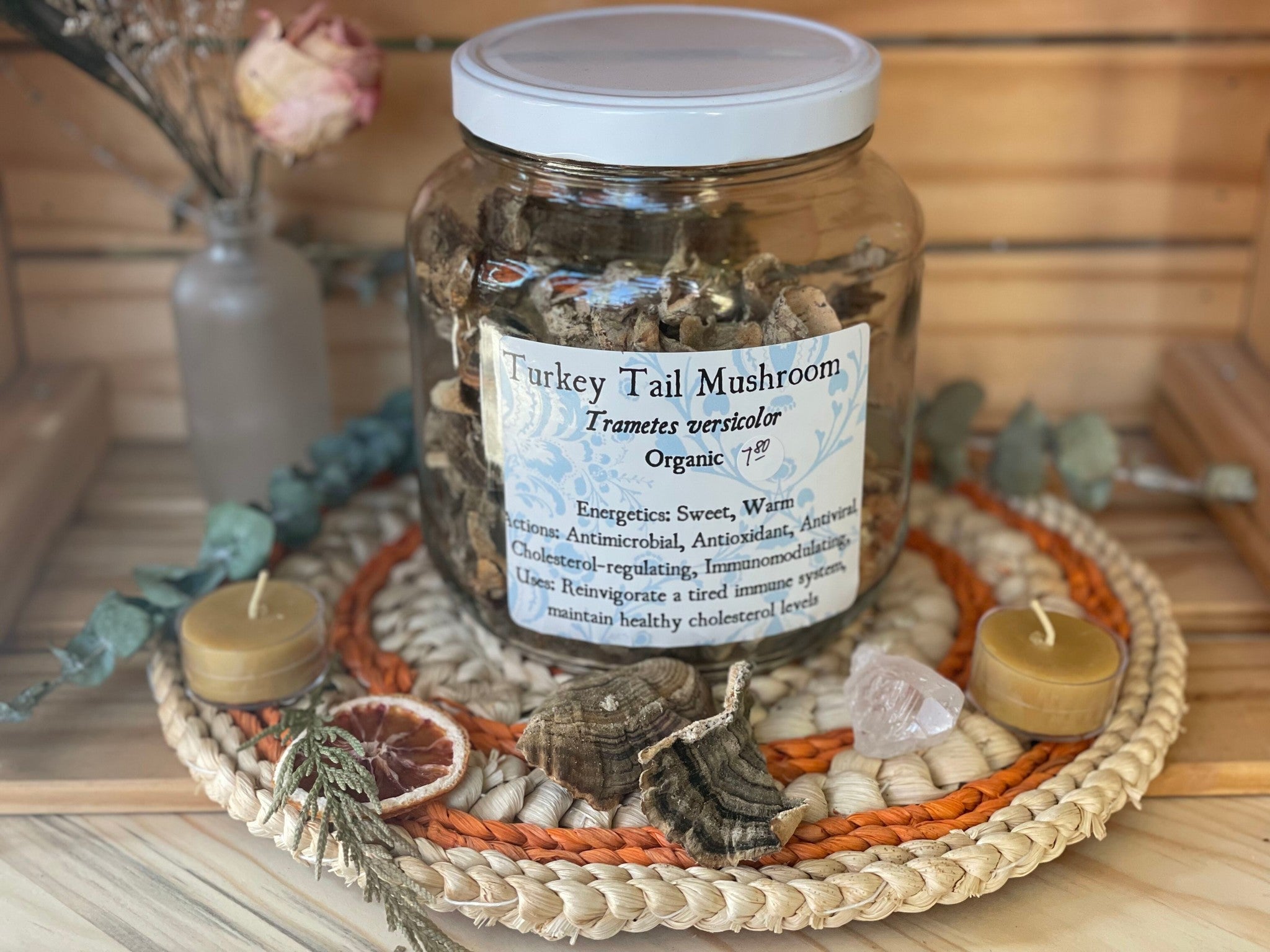 Turkey Tail Mushroom, wild-crafted, bulk/oz